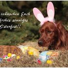 *Frohe Ostern*