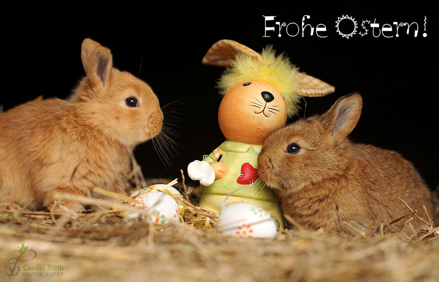 Frohe Ostern!