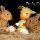 Frohe Ostern!