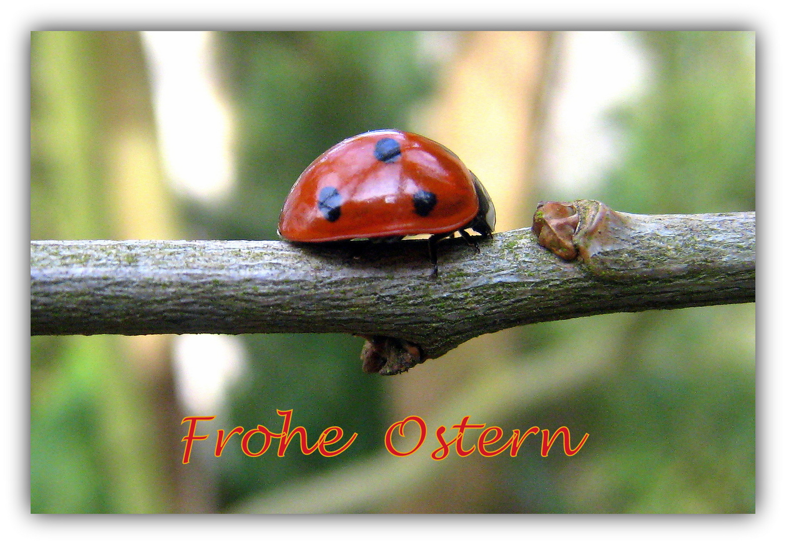 Frohe Ostern...