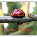 Frohe Ostern...