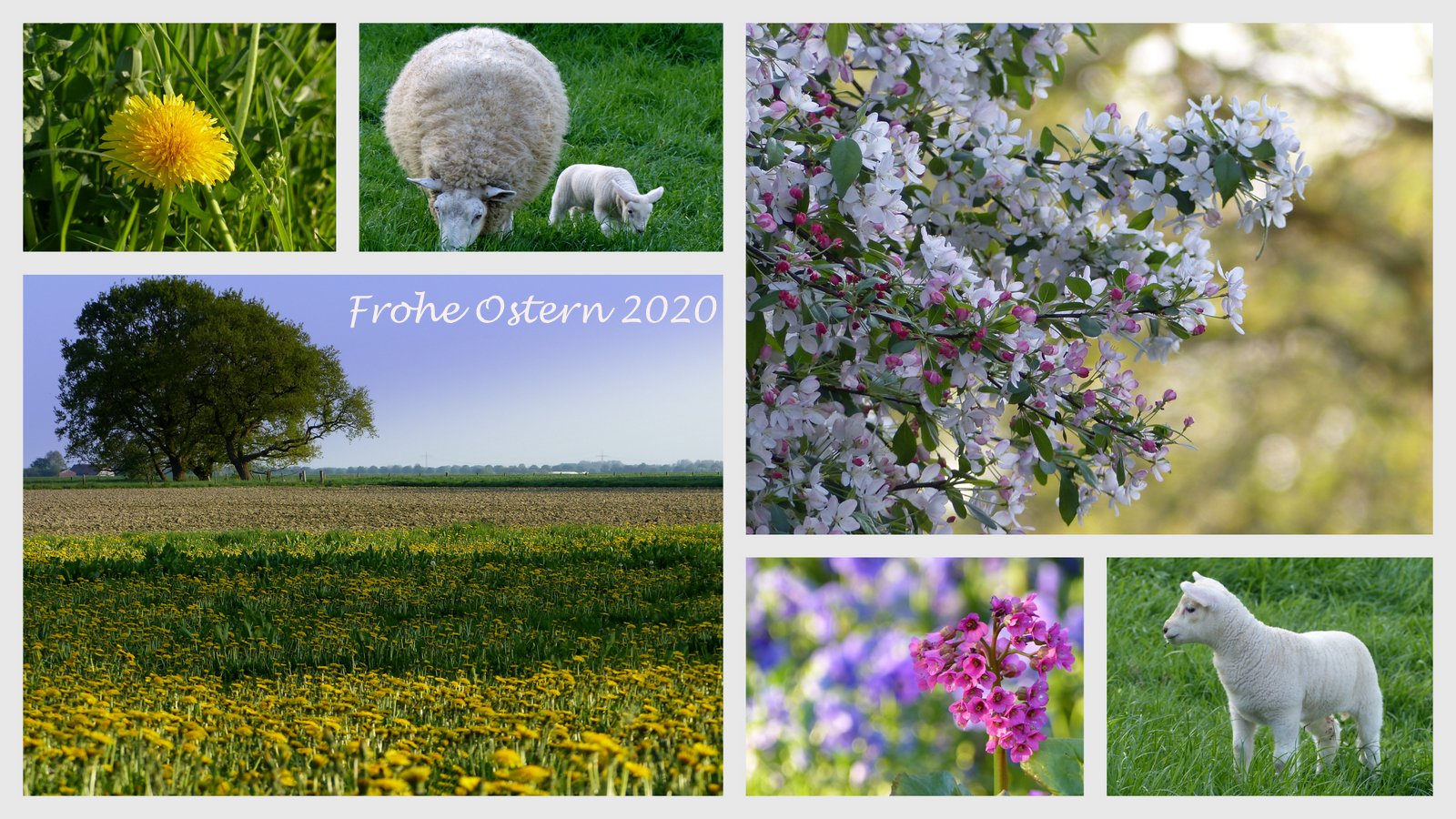 FROHE  OSTERN