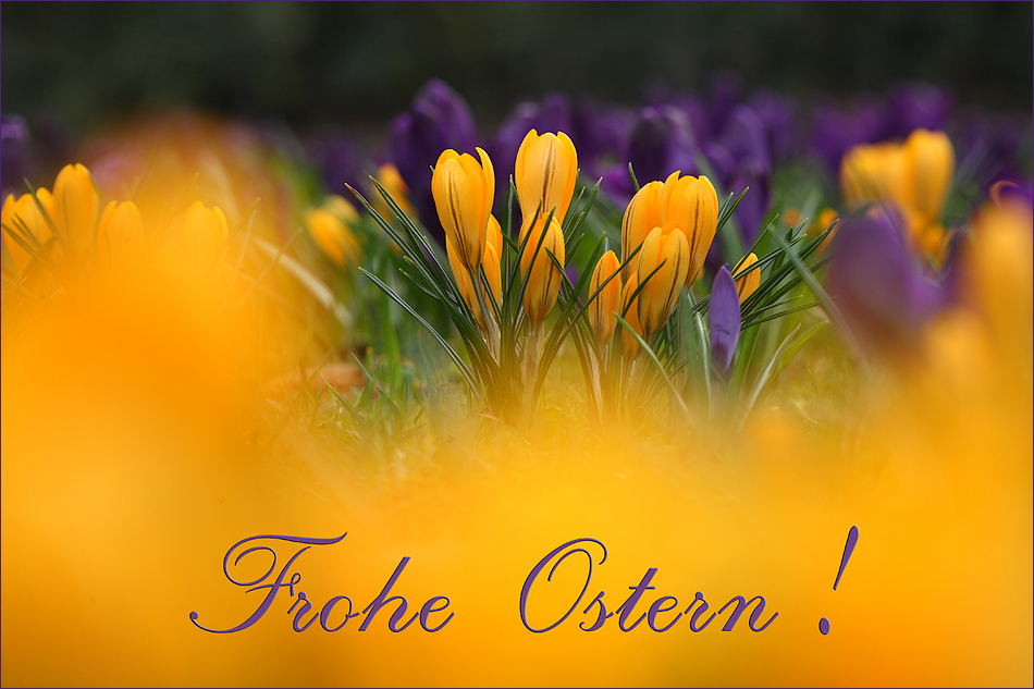 Frohe Ostern