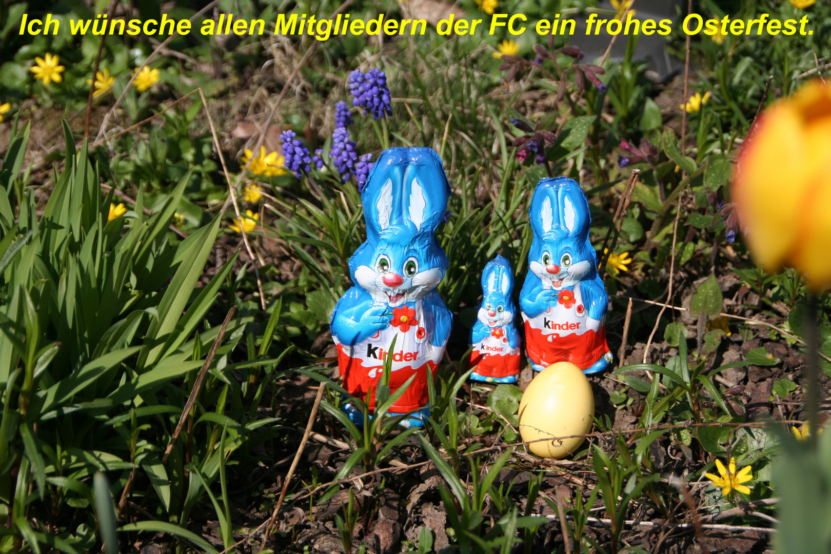 Frohe Ostern