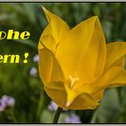 Frohe Ostern