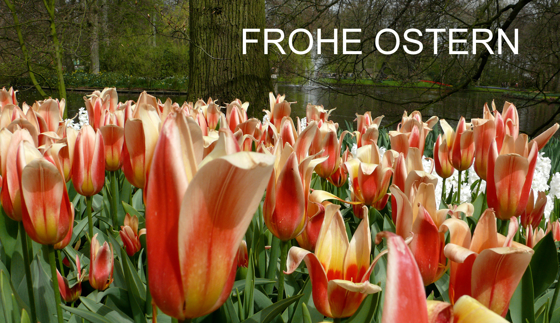 FROHE OSTERN