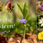 Frohe Ostern