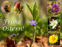 Frohe Ostern