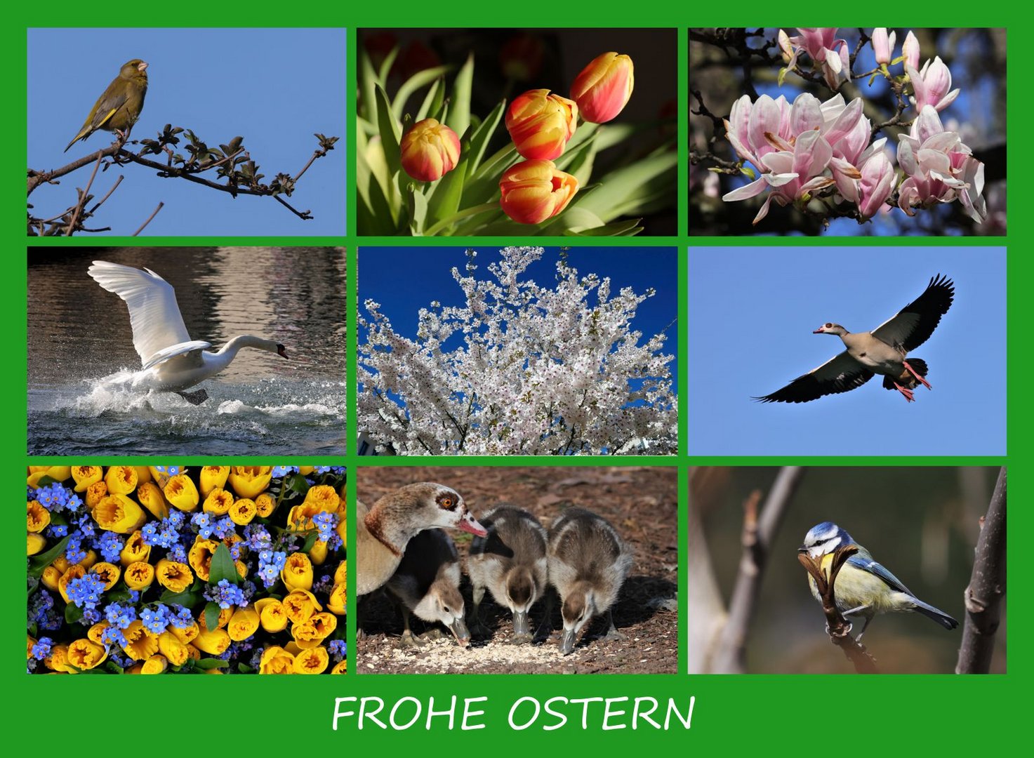 Frohe Ostern