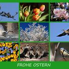 Frohe Ostern