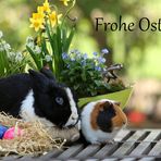 Frohe Ostern