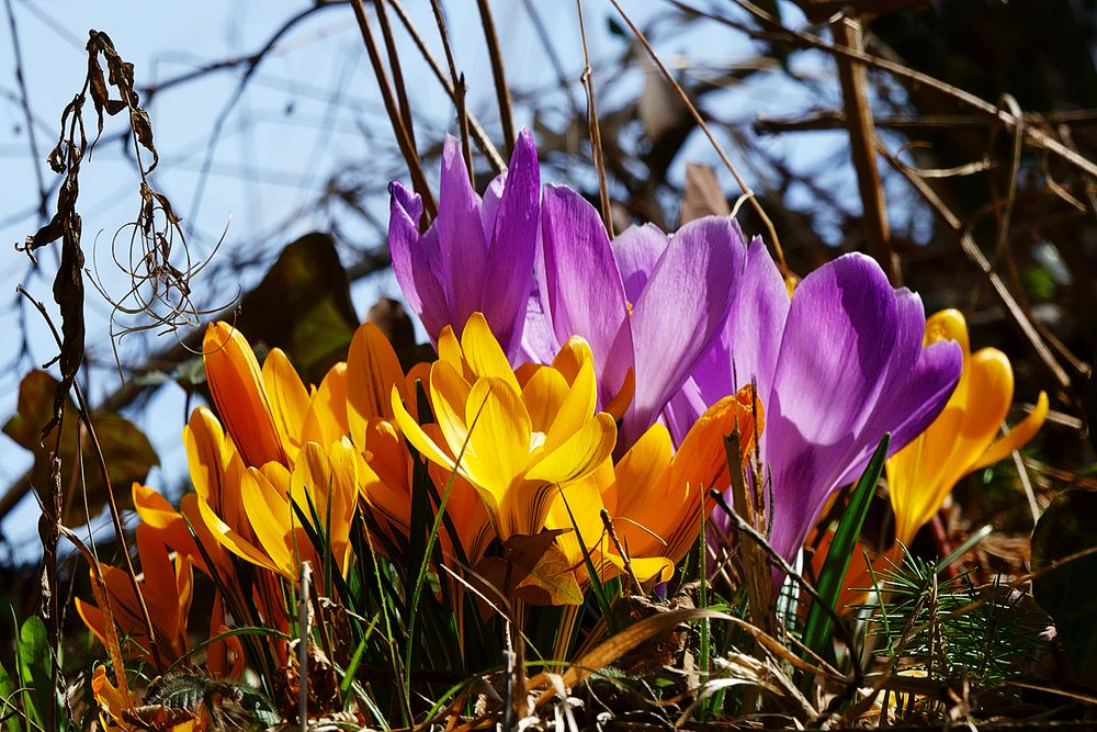 Frohe Ostern