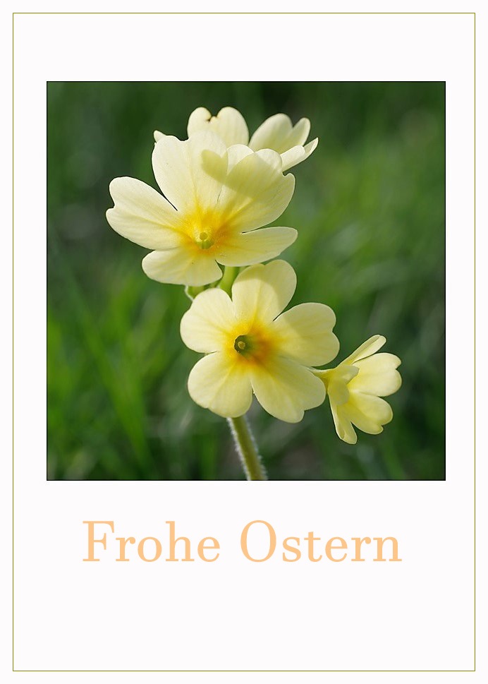 Frohe Ostern