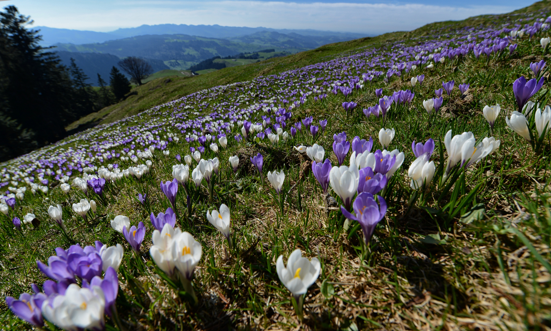 Frohe Ostern