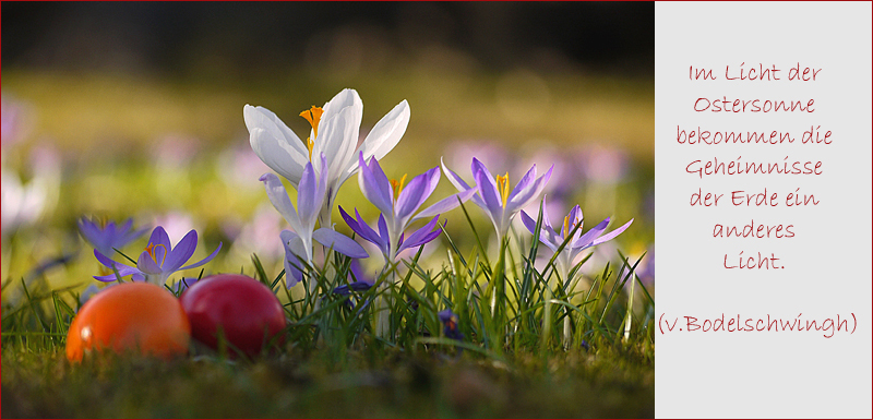 FROHE OSTERN!