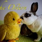 Frohe Ostern !