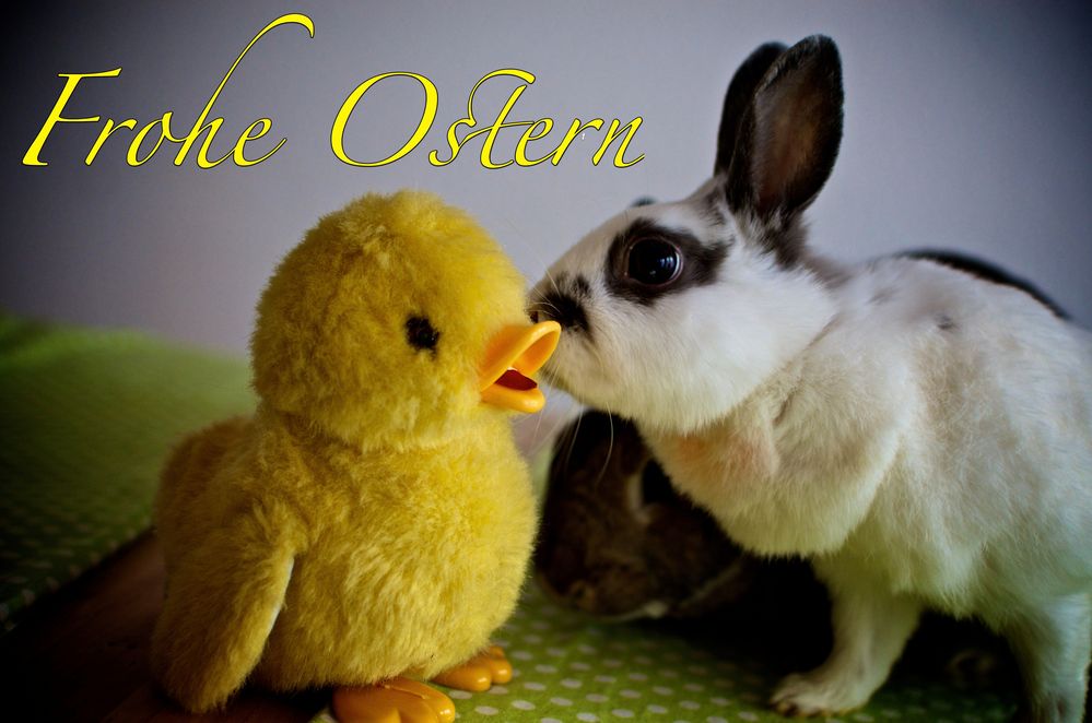 Frohe Ostern !