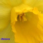 Frohe Ostern