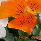 Frohe Ostern