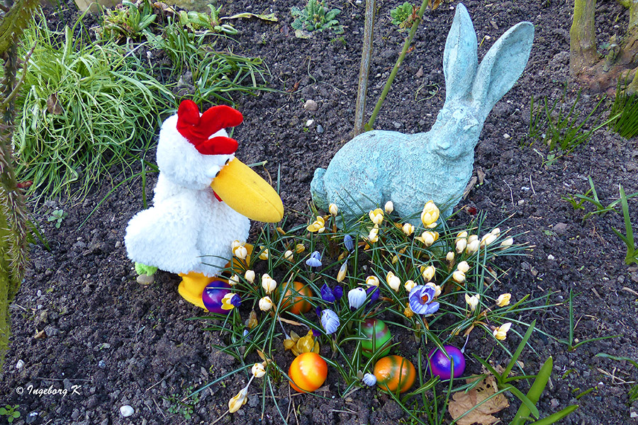 FROHE OSTERN - allen FC-Freunden