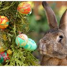 Frohe Ostern allen FClern...