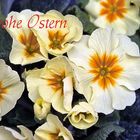 Frohe Ostern allen FClern