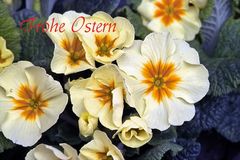 Frohe Ostern allen FClern