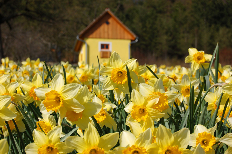 Frohe Ostern allen im weiten Land,