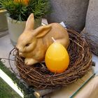 Frohe Ostern an Alle