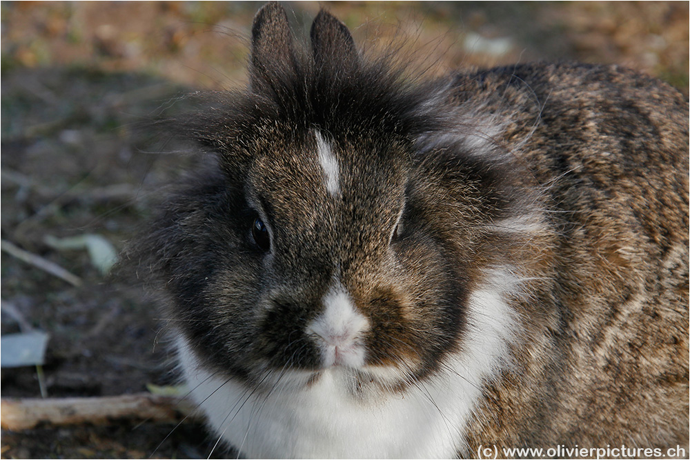 Frohe Ostern an alle!