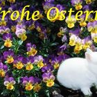 Frohe Ostern an alle Fotofreunde