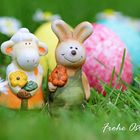 Frohe Ostern an die Community!