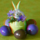 Frohe Ostern - Anaglyphen