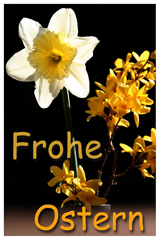 Frohe Ostern - auch wenn's regnet ;-)