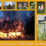 Frohe Ostern aus Arnsberg - Niedereimer im Sauerland