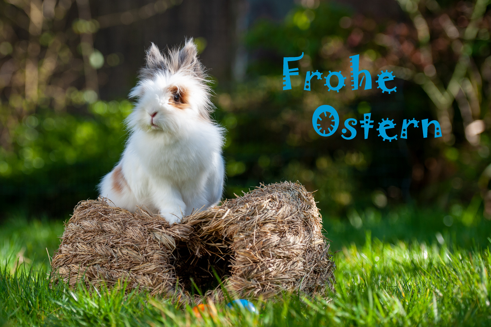 Frohe Ostern aus der Hasenhütte