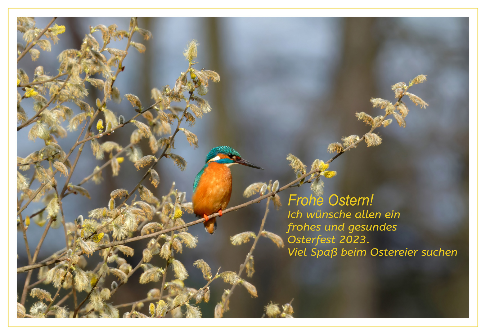 Frohe Ostern aus der Oberlausitz! 