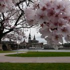 Frohe Ostern aus Dresden