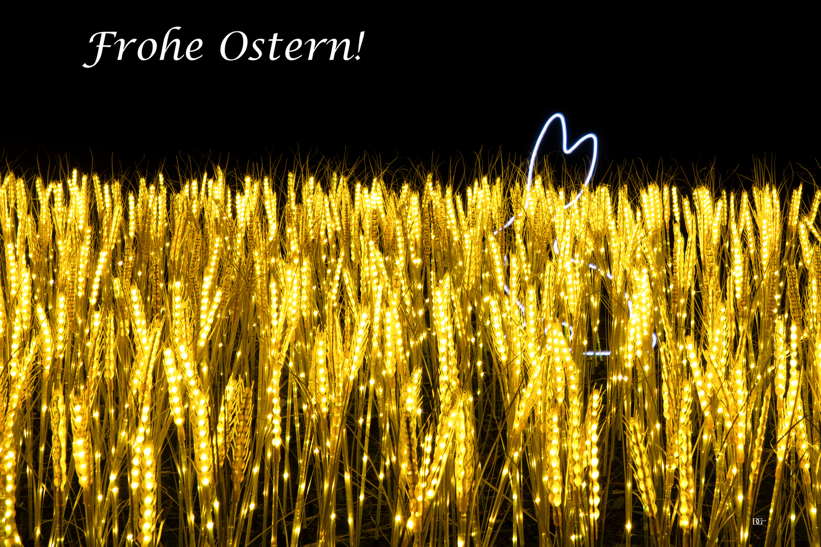 Frohe Ostern aus Hasenhausen