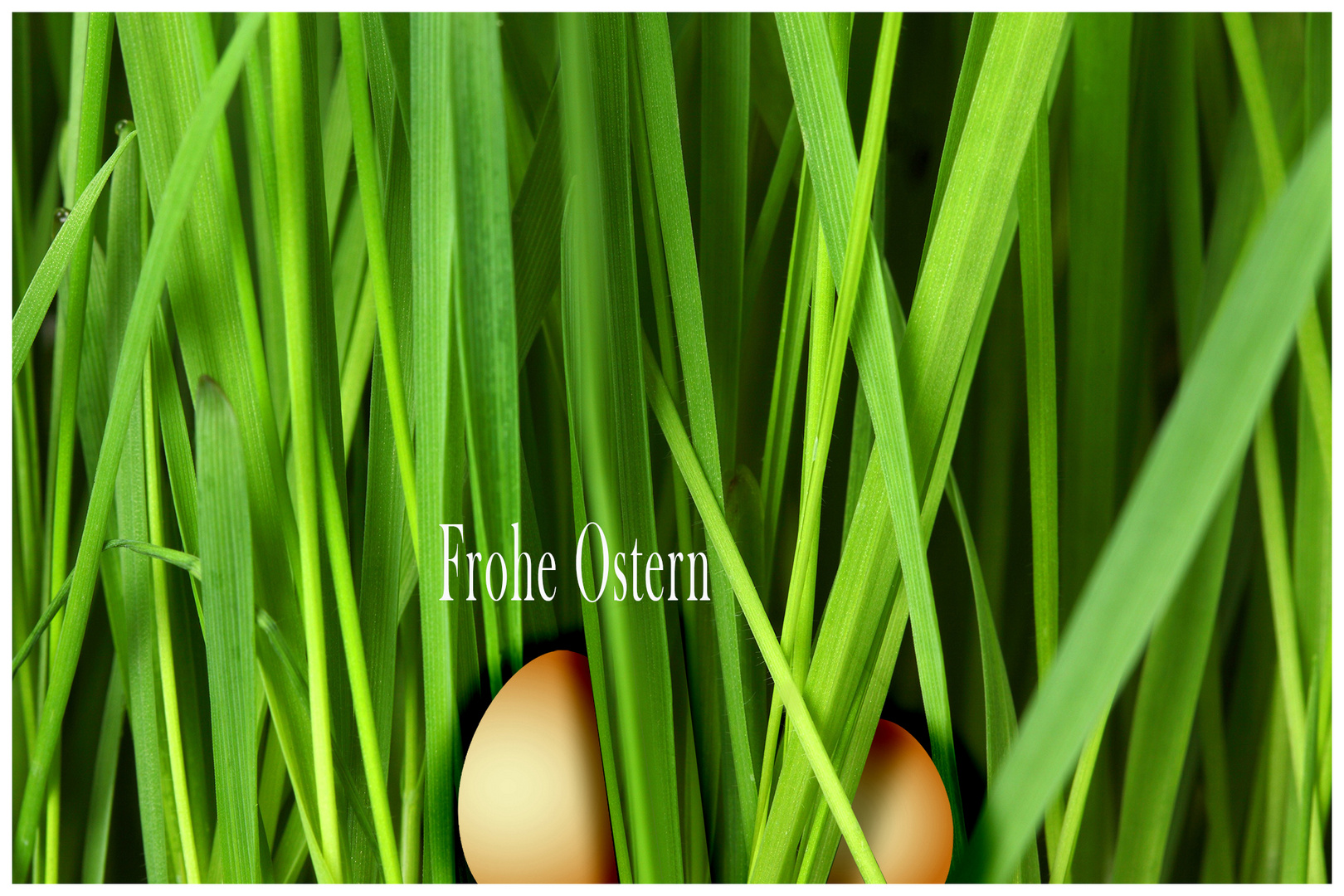 Frohe Ostern