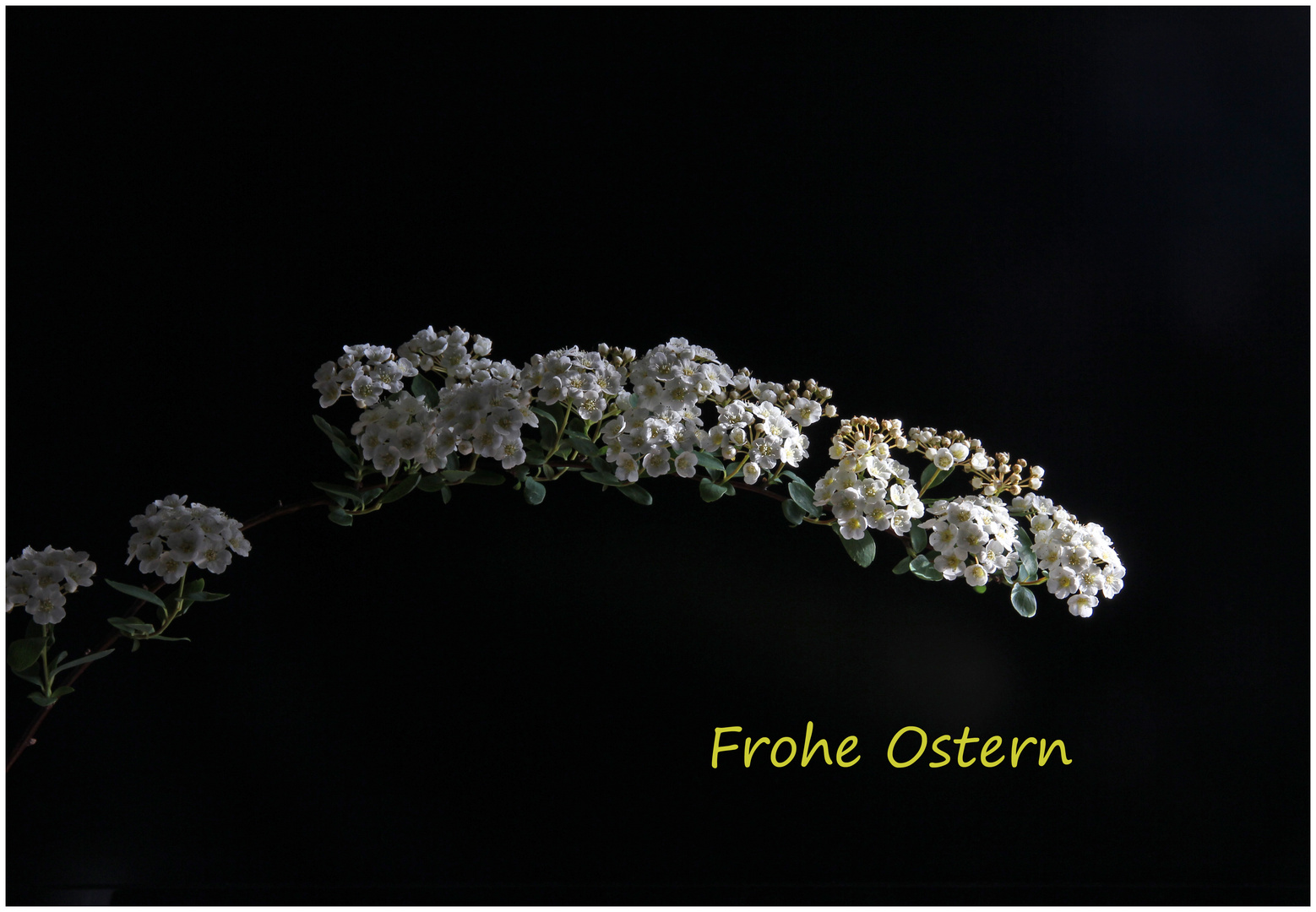 Frohe Ostern