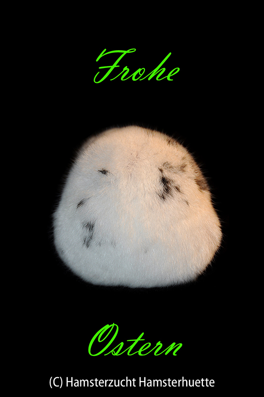 Frohe Ostern :-)