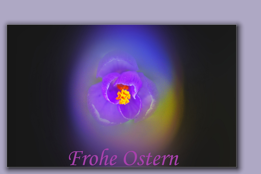 Frohe Ostern