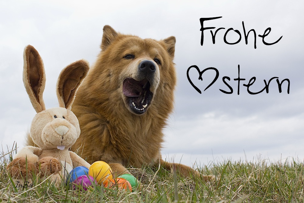 FROHE OSTERN