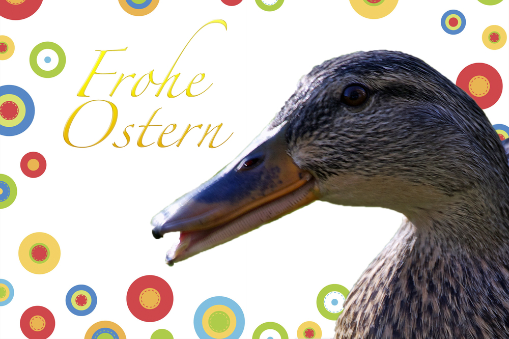 Frohe Ostern