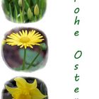 Frohe Ostern