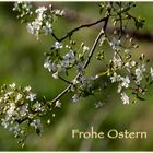 Frohe Ostern