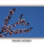 Frohe Ostern