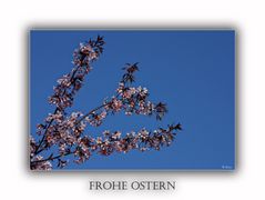 Frohe Ostern