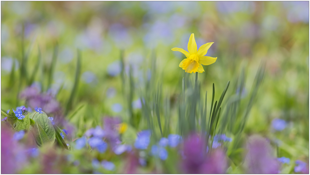 Frohe Ostern !!!